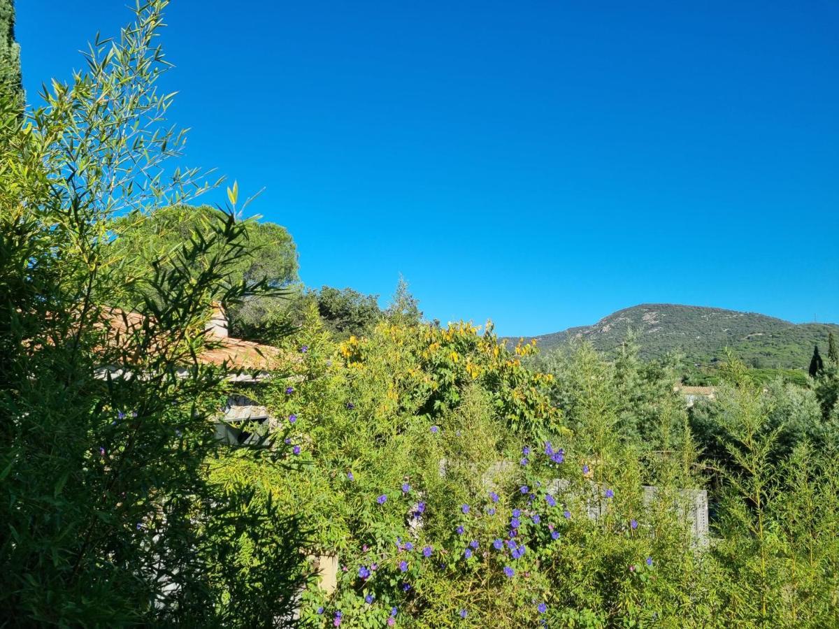 Ferienwohnung Mas De La Petite Jeanne Grimaud Exterior foto