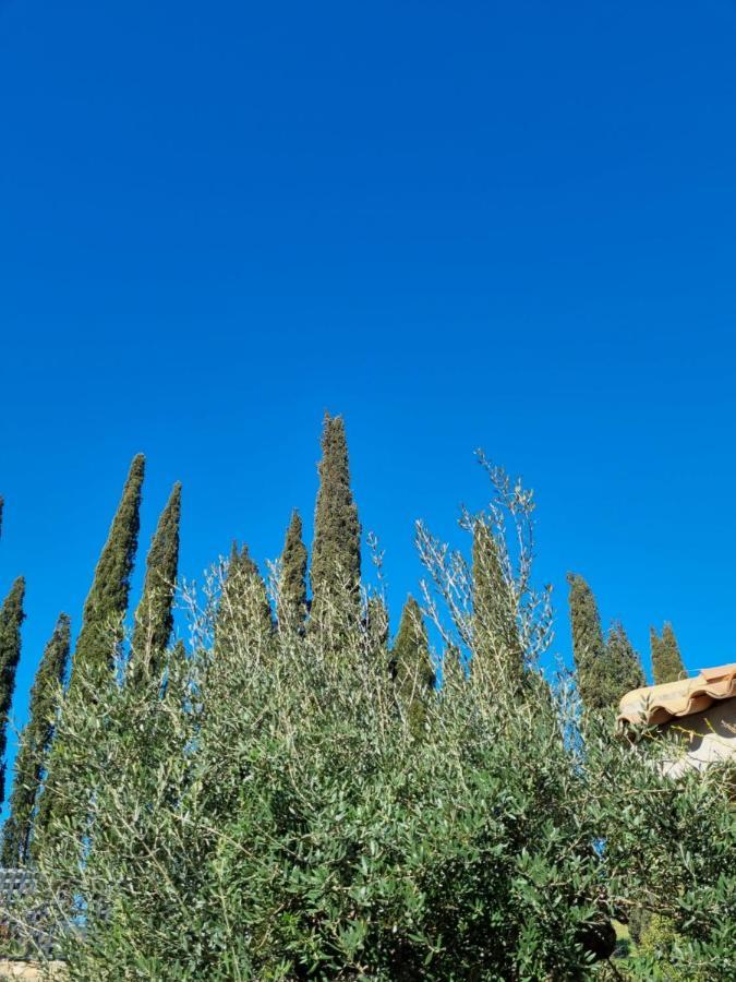 Ferienwohnung Mas De La Petite Jeanne Grimaud Exterior foto